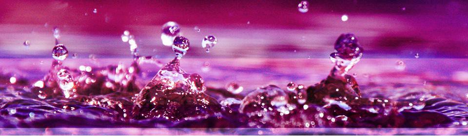 PHILOSOPHIE Webdesign, Suchmaschinenmanagement, Bildbearbeitung, Fotografie, Text, Events